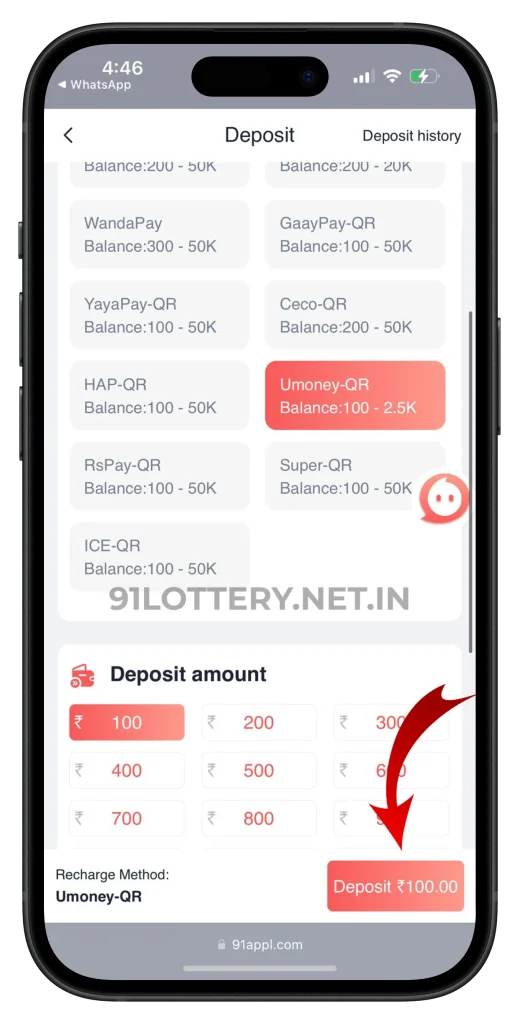 91lottery-deposit-page